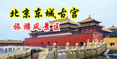 操我在线观看中国北京-东城古宫旅游风景区